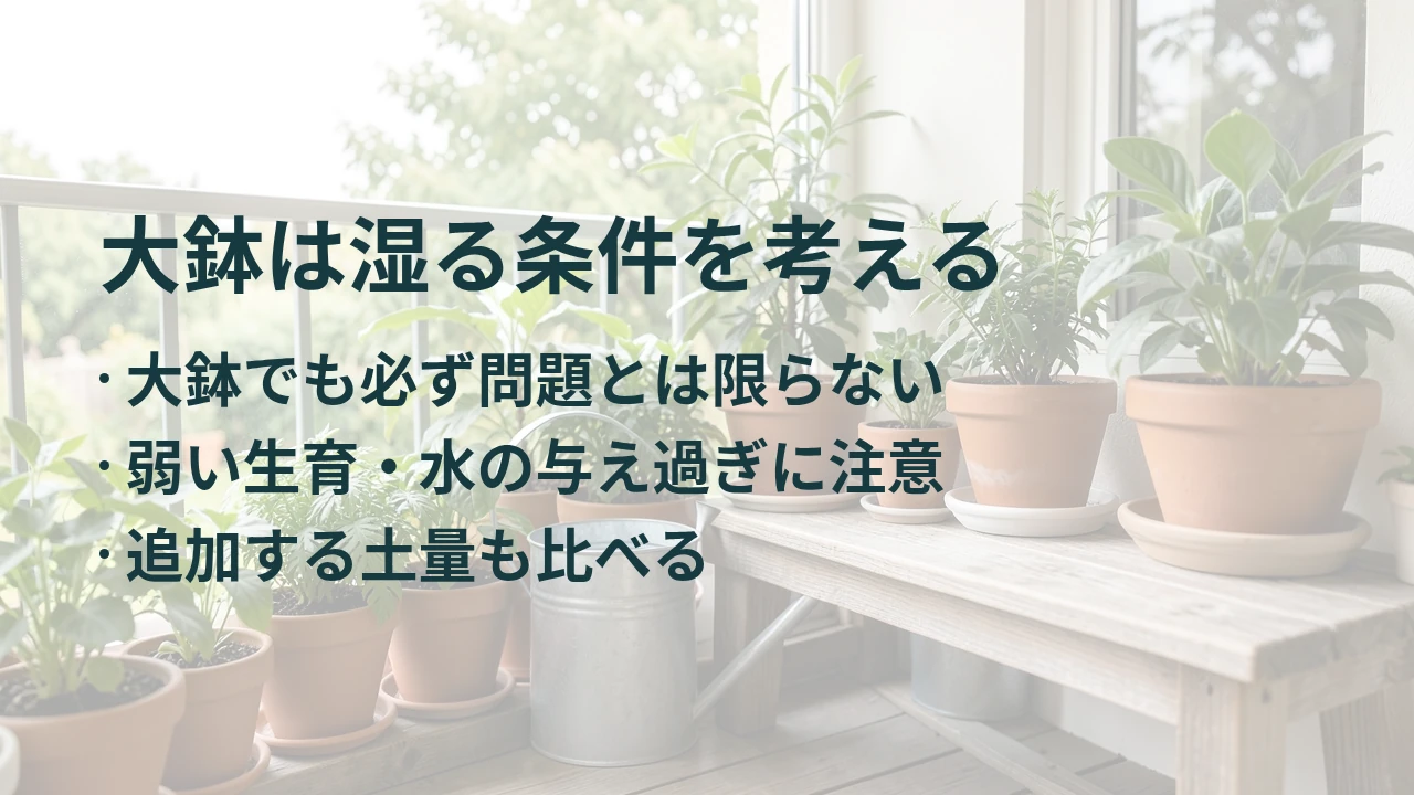 大鉢は湿る条件を考える