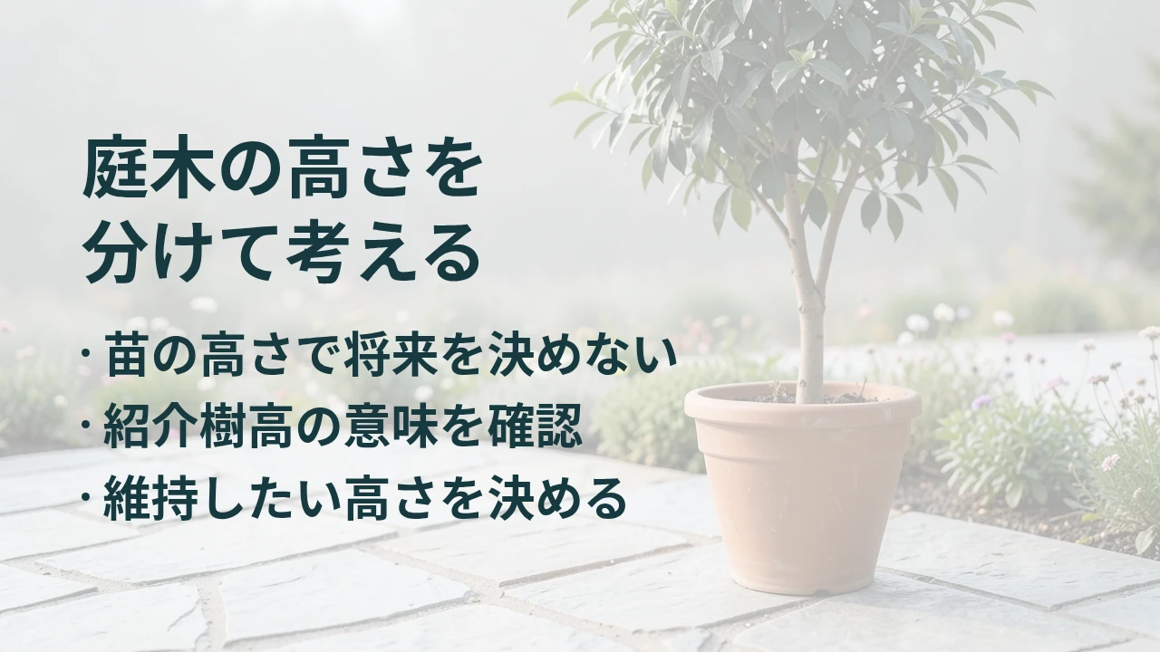 庭木の高さを 分けて考える