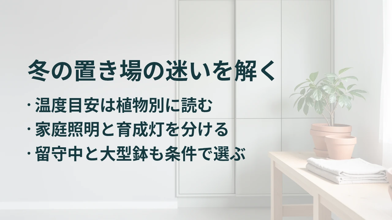 冬の置き場の迷いを解く