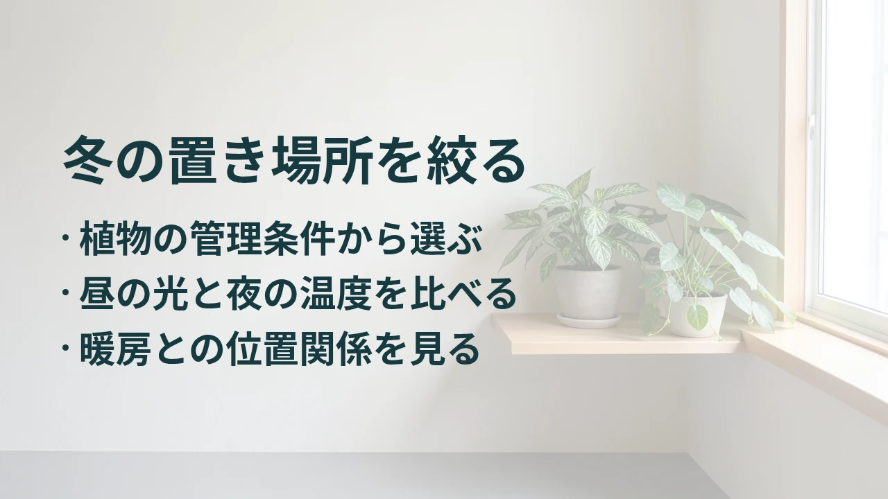 冬の置き場所を絞る