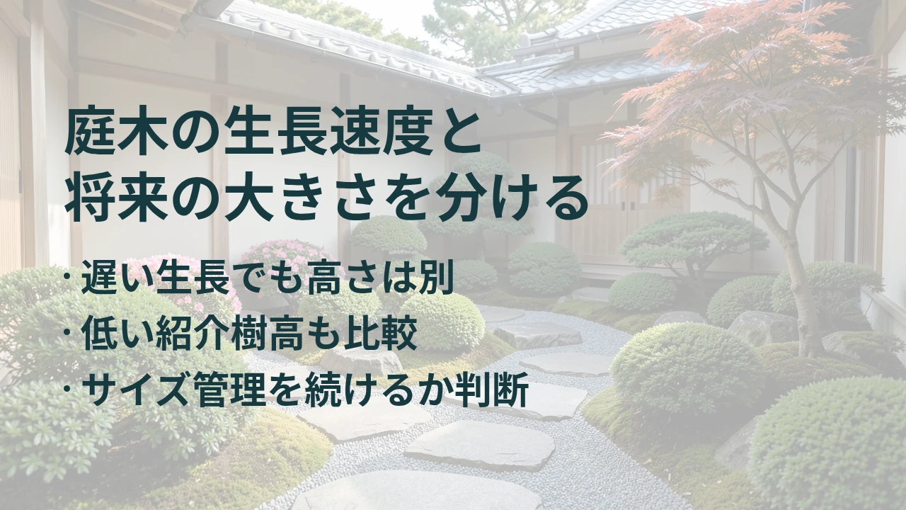 庭木の生長速度と 将来の大きさを分ける