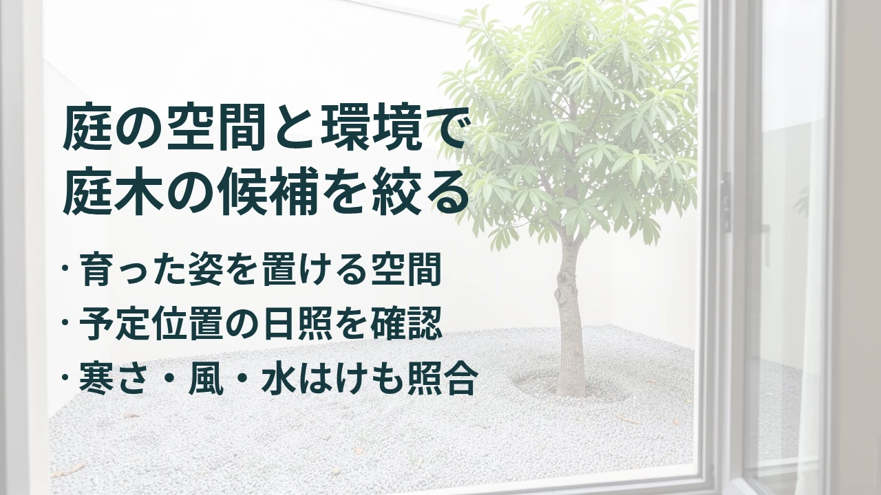 庭の空間と環境で 庭木の候補を絞る