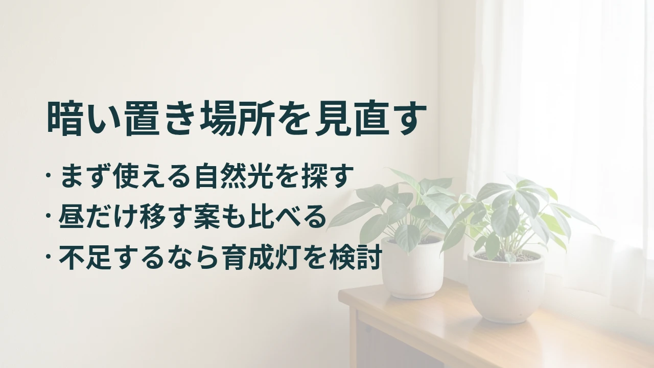 暗い置き場所を見直す
