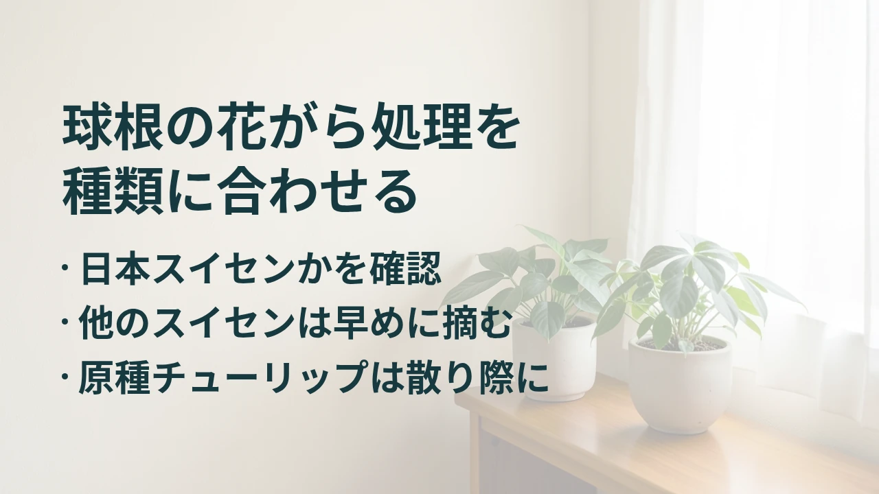 球根の花がら処理を 種類に合わせる