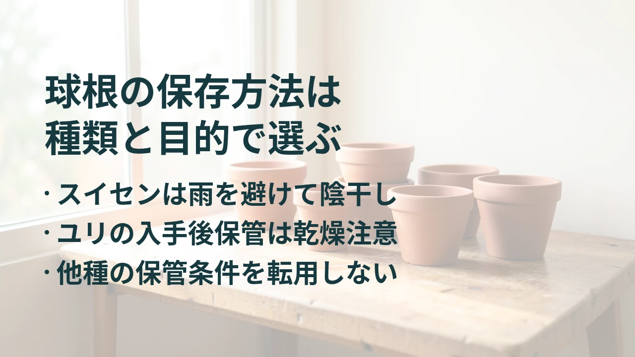 球根の保存方法は 種類と目的で選ぶ