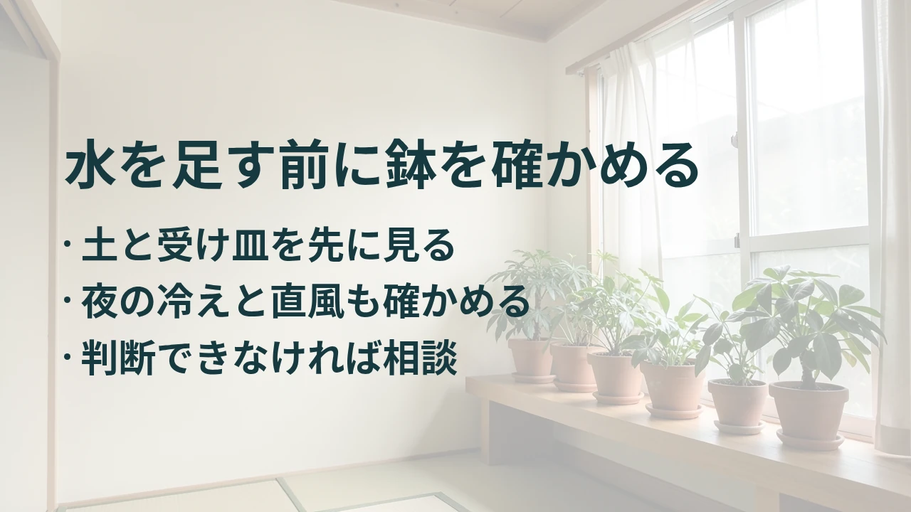 水を足す前に鉢を確かめる