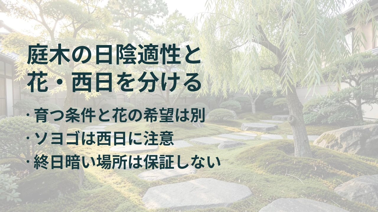 庭木の日陰適性と 花・西日を分ける