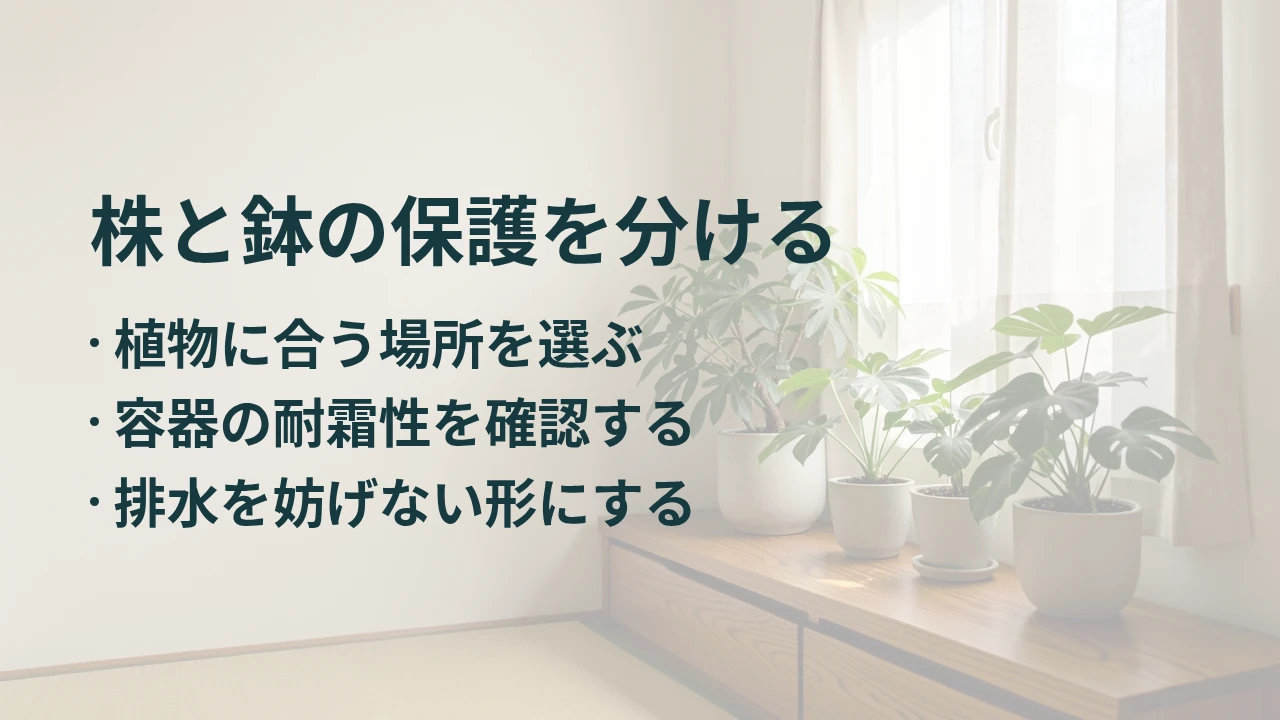 株と鉢の保護を分ける