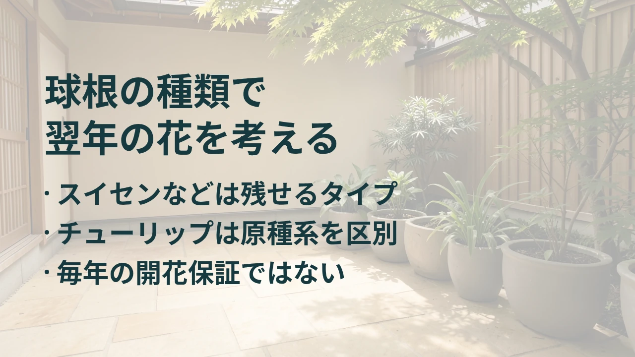 球根の種類で 翌年の花を考える