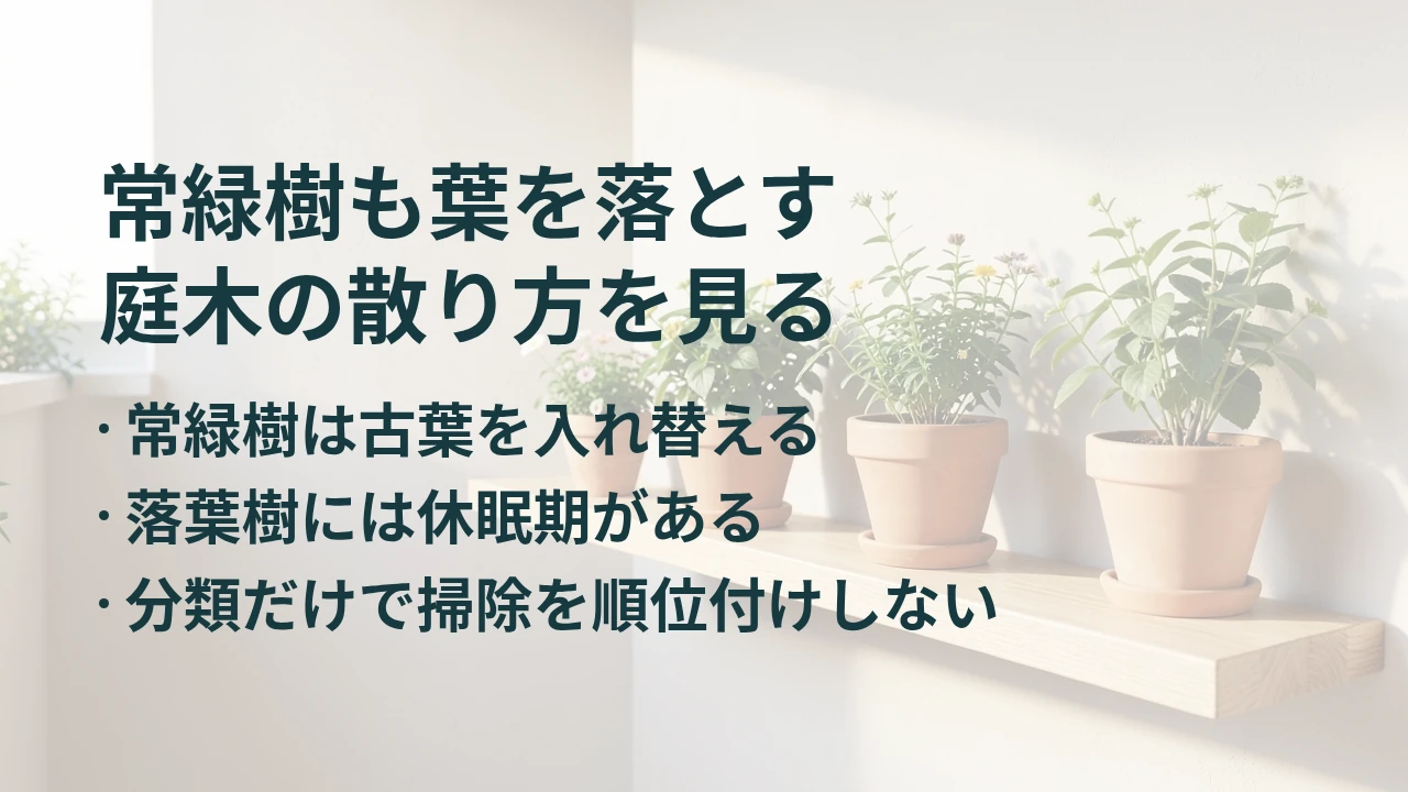 常緑樹も葉を落とす 庭木の散り方を見る