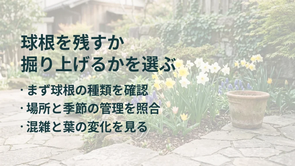 球根を残すか 掘り上げるかを選ぶ