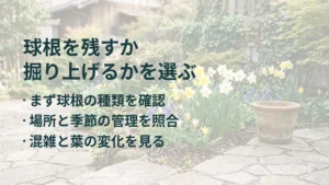 球根を残すか 掘り上げるかを選ぶ