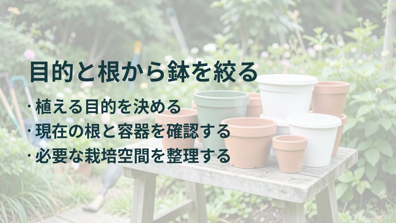 目的と根から鉢を絞る