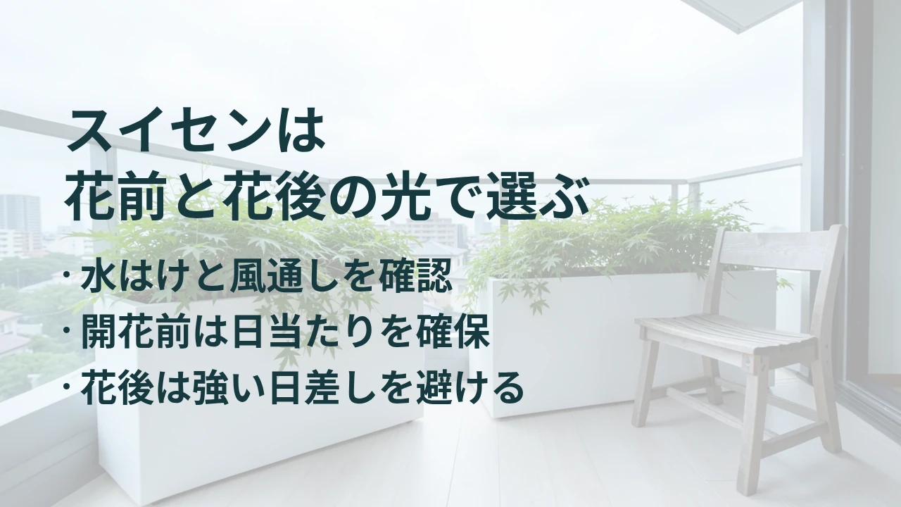 スイセンは 花前と花後の光で選ぶ