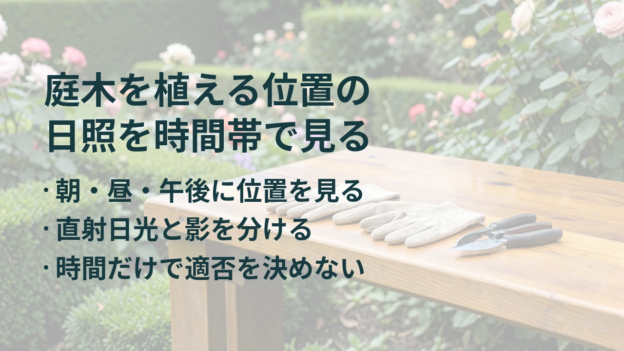 庭木を植える位置の 日照を時間帯で見る