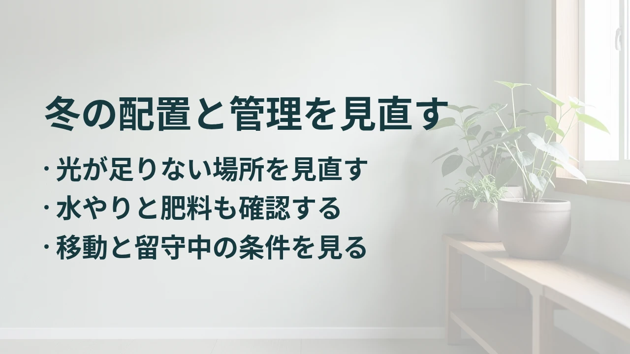 冬の配置と管理を見直す