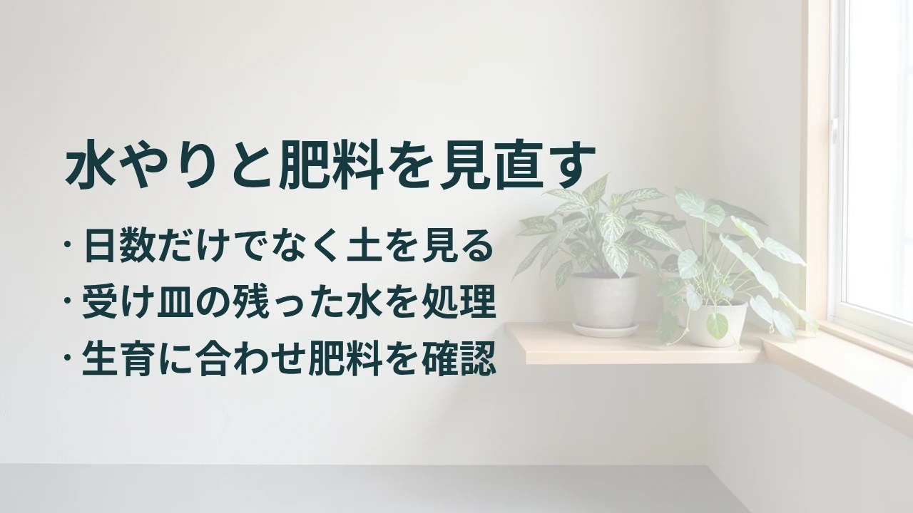 水やりと肥料を見直す