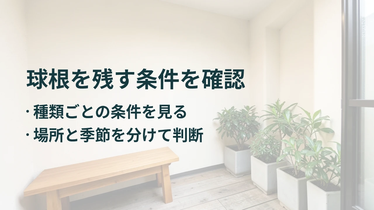 球根を残す条件を確認