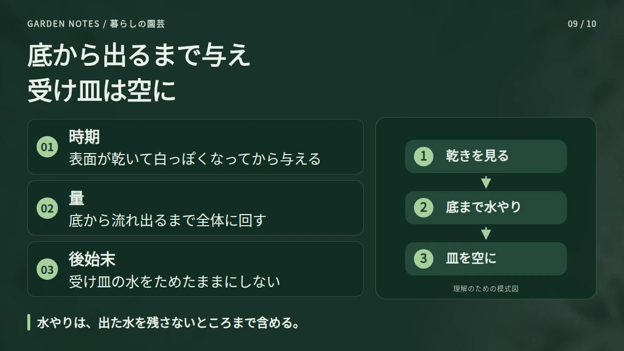 底から水が出るまで与え、受け皿の水は残さないの要点と図解