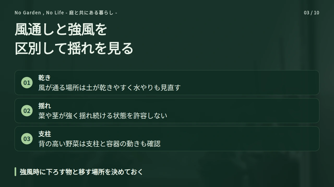 風通しと強風を区別し、株と支柱の揺れを見るの要点と図解