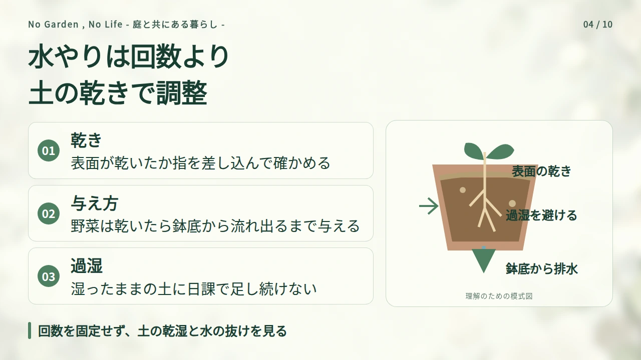 乾きやすい場所と湿り続ける場所で水やりを変えるの要点と図解