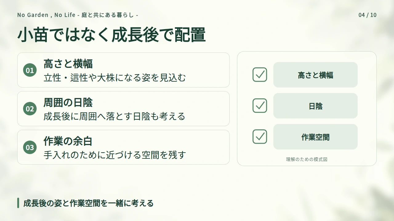 ローズマリーとレモングラスは成長後の大きさから配置するの要点と図解