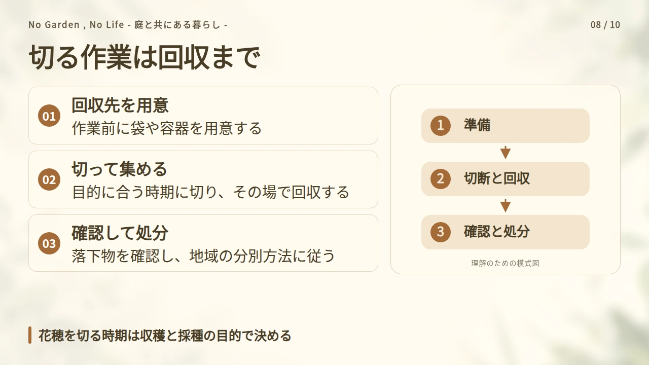 摘んだ花がらや切った茎を庭に残さないの要点と図解