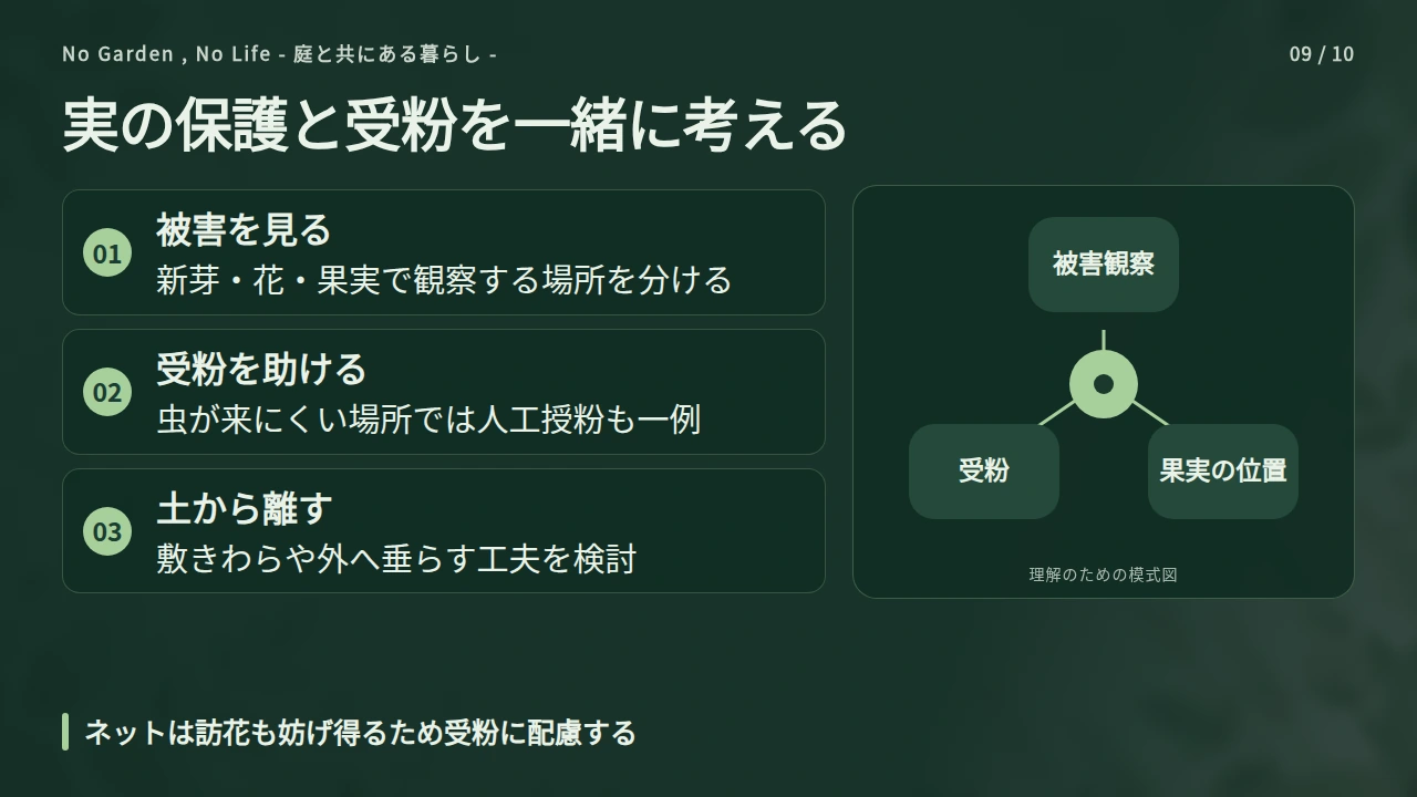 実を守るネットと、花の受粉を一緒に管理するの要点と図解