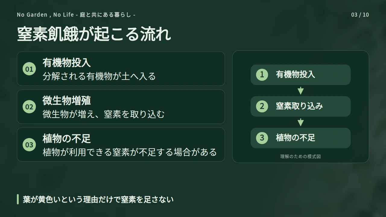肥料を入れたのに育たない？窒素飢餓と養分追加の考え方の要点と図解