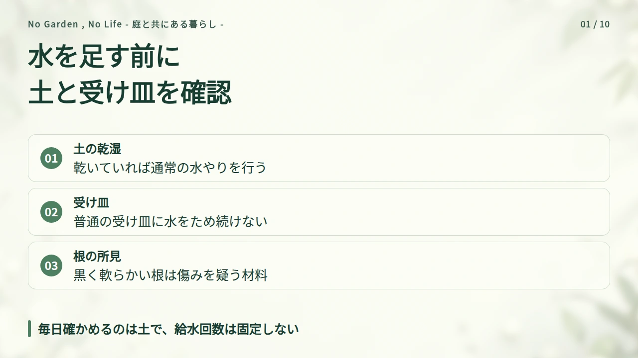 しおれたら、まず土の乾湿と受け皿を確認するの要点と図解