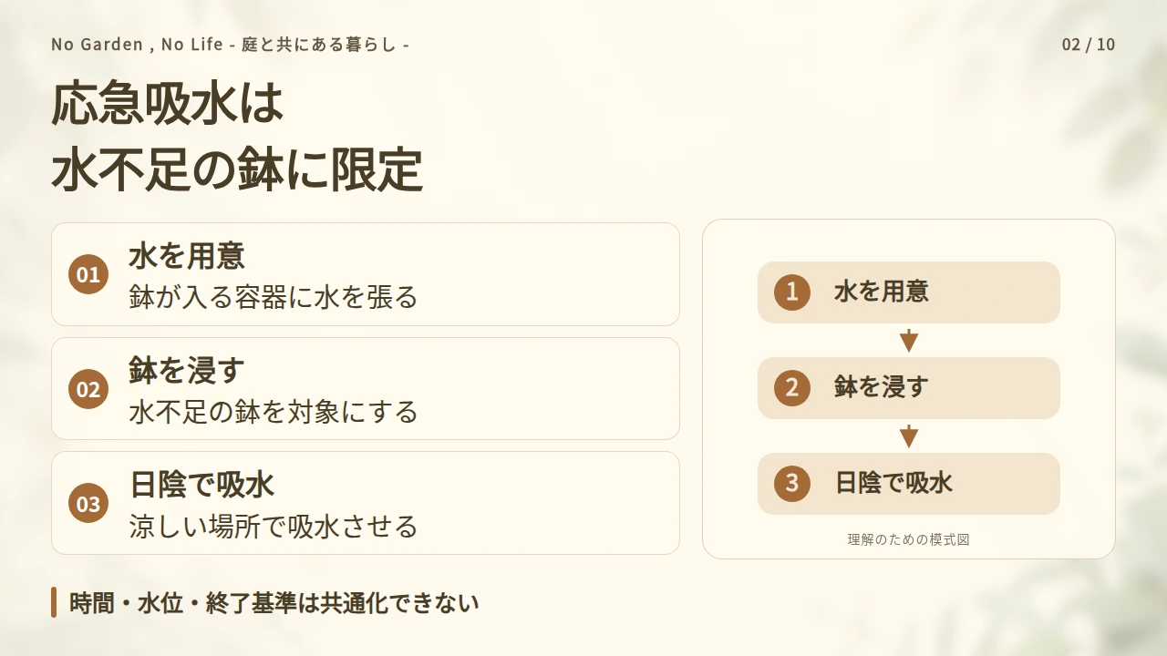 水切れが疑われる鉢の吸水と、その後の見守り方の要点と図解