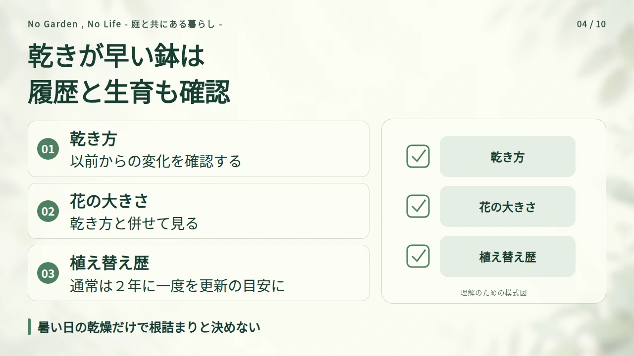 すぐ乾く鉢は根詰まりと植え替え履歴を調べるの要点と図解