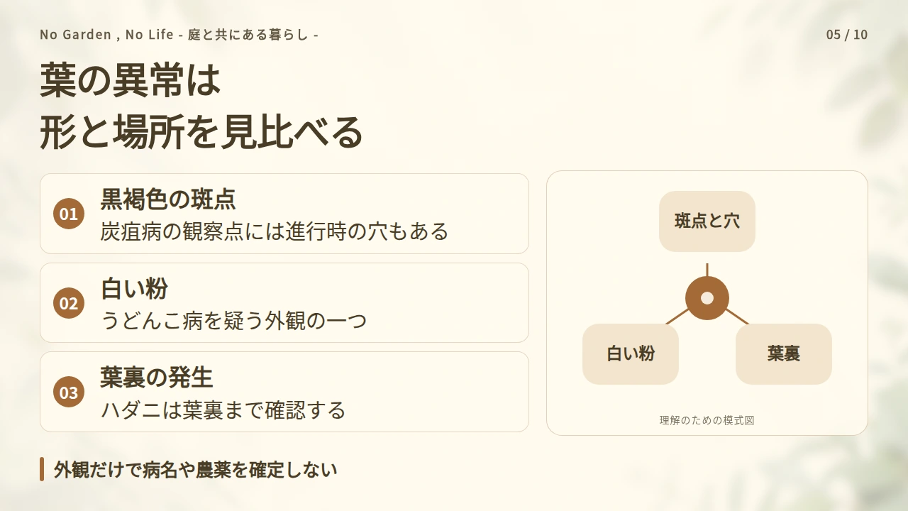 斑点・白い粉・葉裏の異常から病害虫を疑うの要点と図解