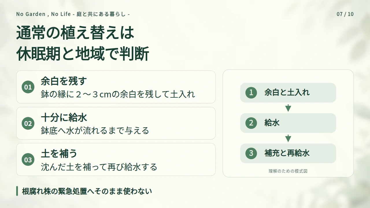 通常の植え替えは地域・休眠状態・根の扱いで決めるの要点と図解