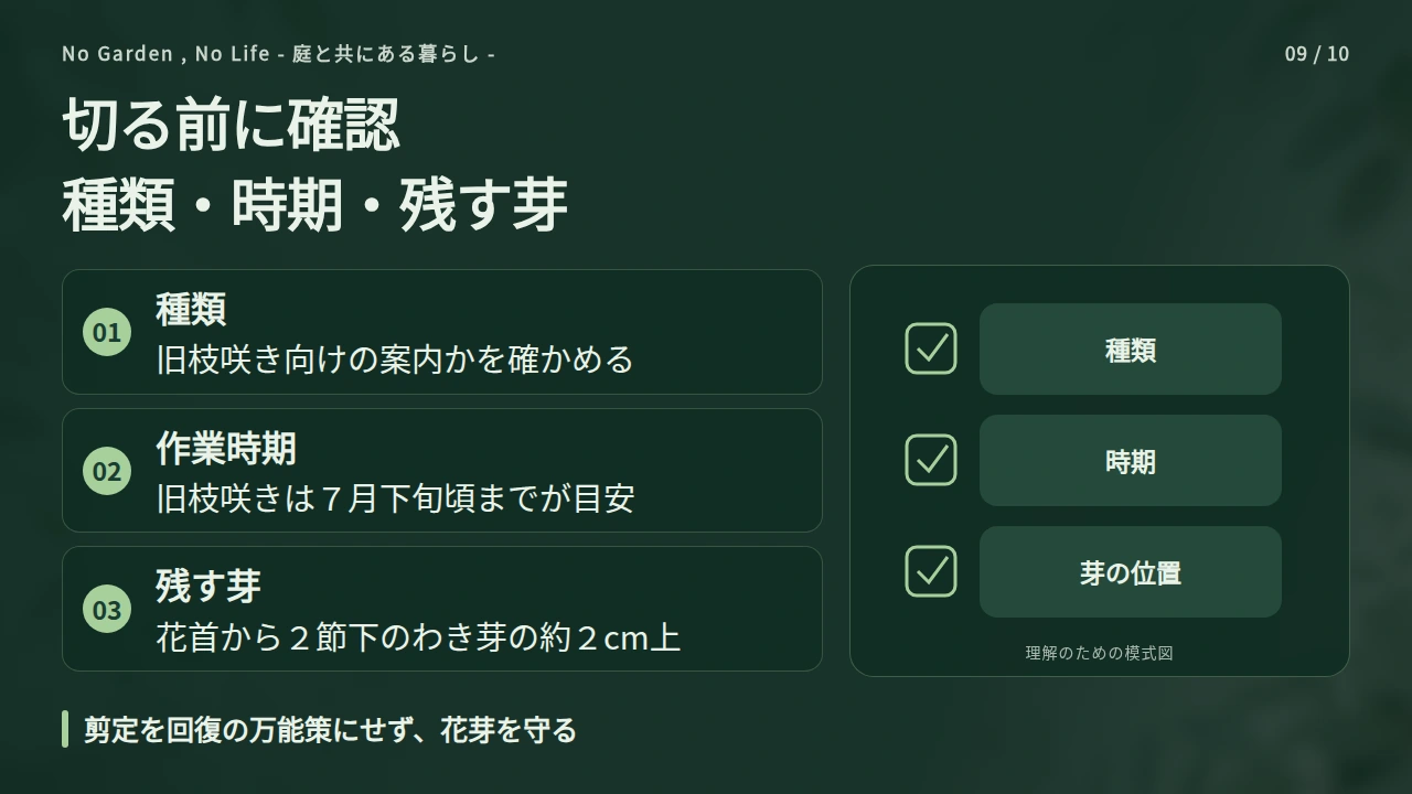 剪定は株の生死と翌年の花芽を分けて考えるの要点と図解