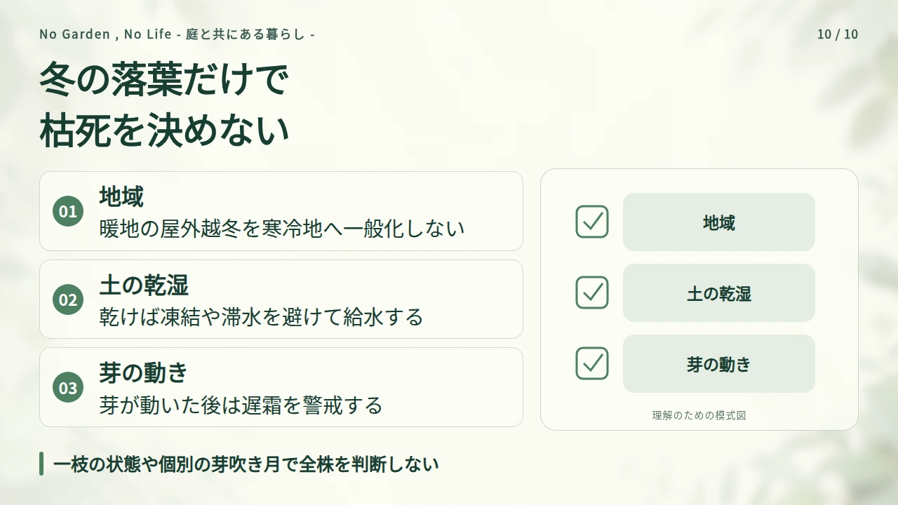 冬の枝だけの姿を見極め、水切れと遅霜を防ぐの要点と図解
