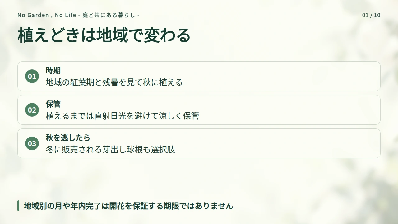 植える時期は地域の紅葉と気候を目安にするの要点と図解