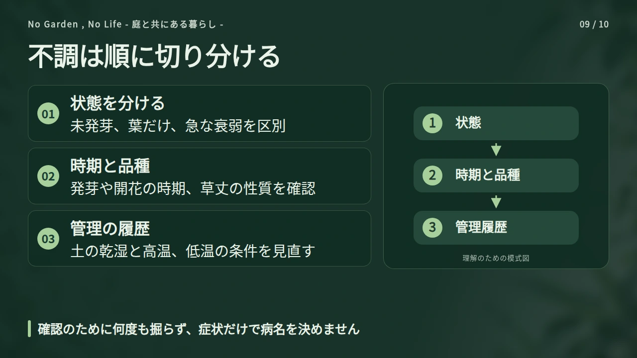 芽が出ない・咲かない・傷むときは確認する順番を決めるの要点と図解