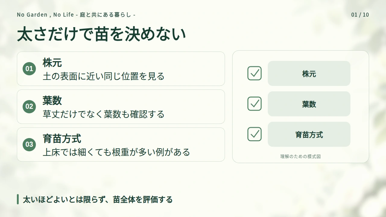まずは株元を確認する|太ければよい苗とは限らないの要点と図解