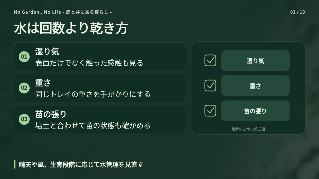 水やりは回数より培土の乾き方で決めるの要点と図解