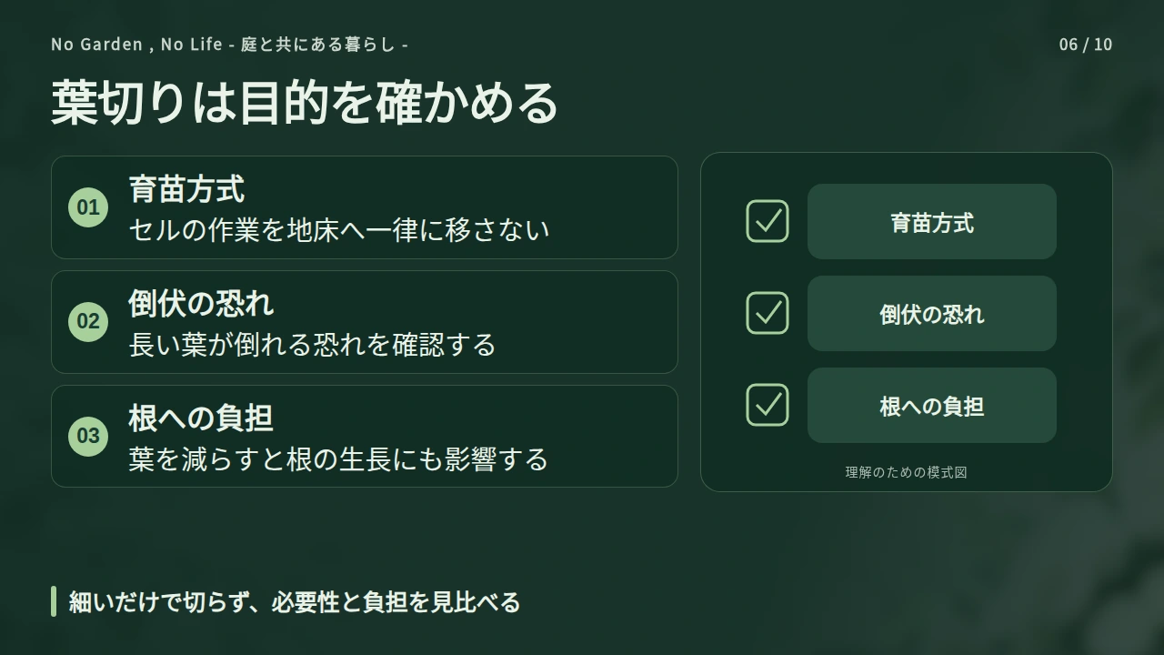 葉切りは苗を太らせるために必須なのかの要点と図解