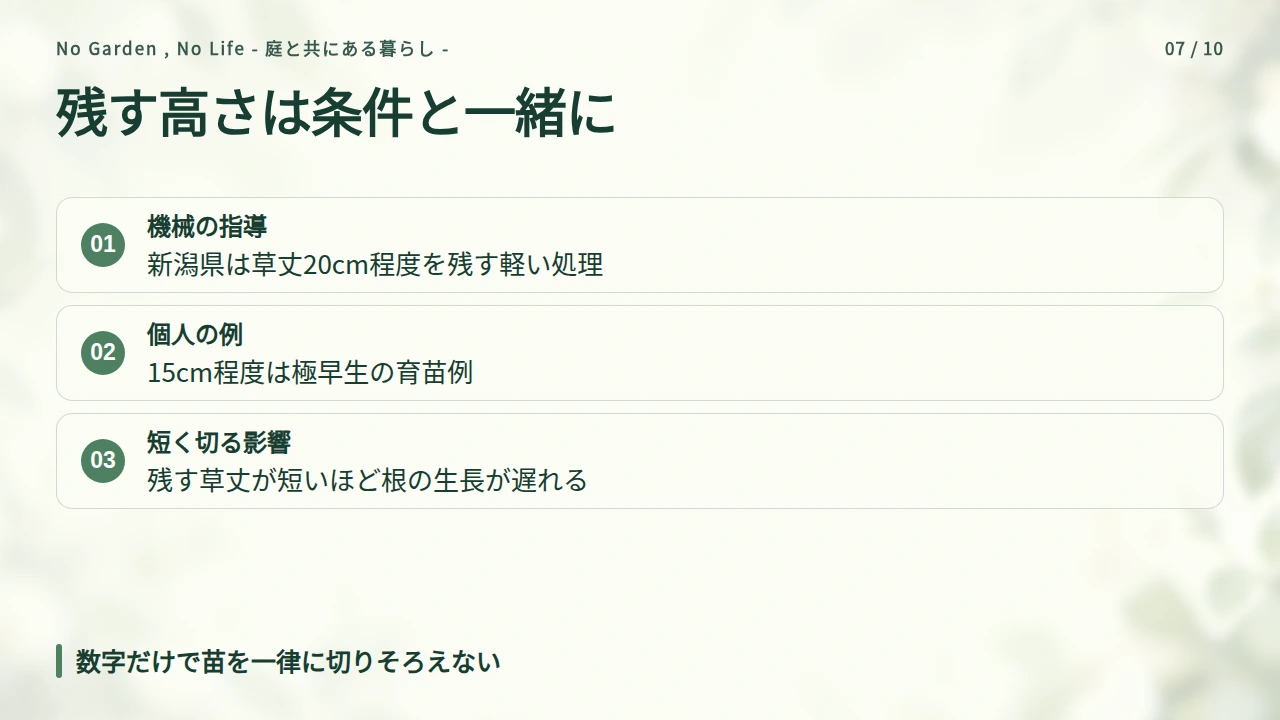 何cm残して切るか|20cmの公的指導と15cmの個人例の要点と図解