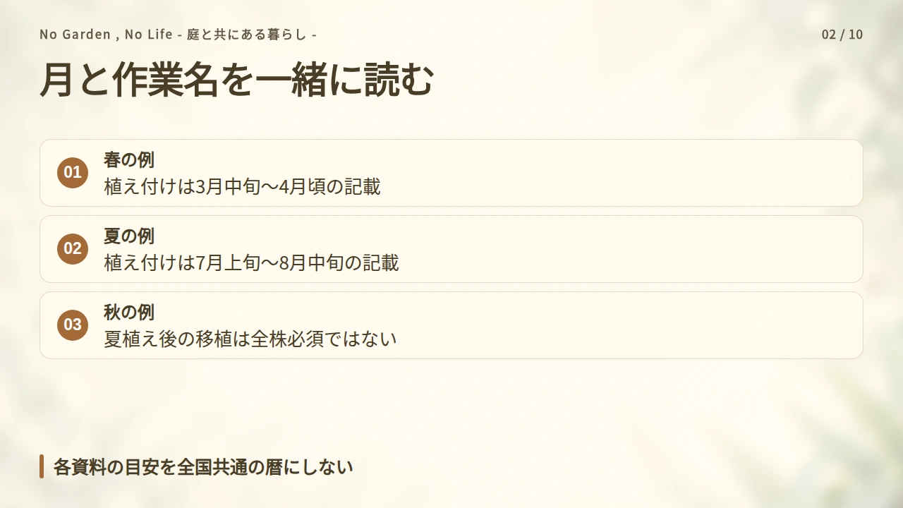 長ネギは春・夏の植え付けと秋の移植を分けて考えるの要点と図解