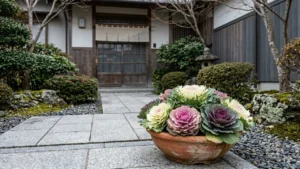 冬の玄関先で白や紫の色づいた葉を広げる鉢植えの葉牡丹