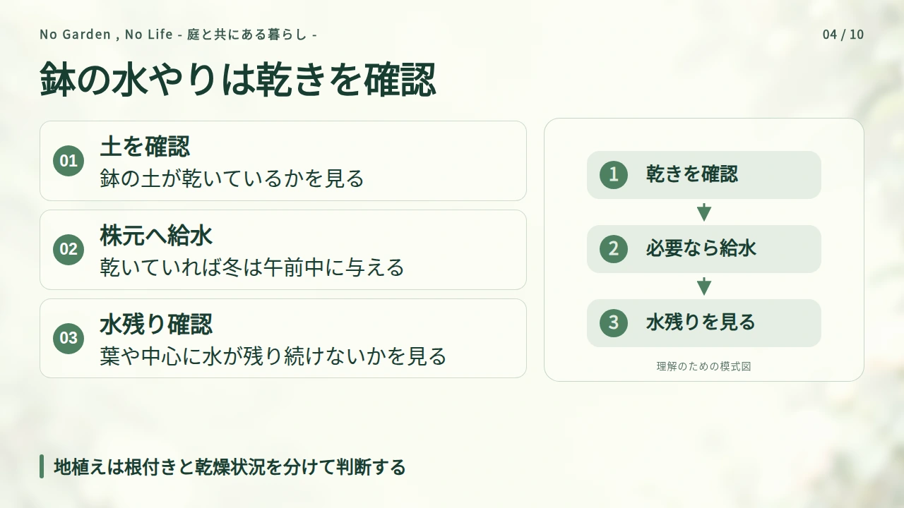 冬の水やりは回数を決めず、土と葉の状態で判断するの要点と図解