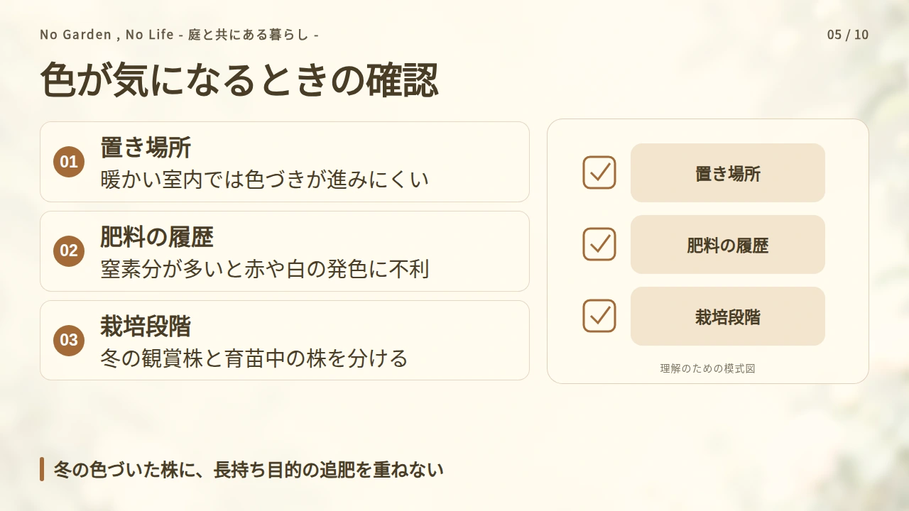 色を長く楽しむには、置き場所と肥料の段階を確認するの要点と図解