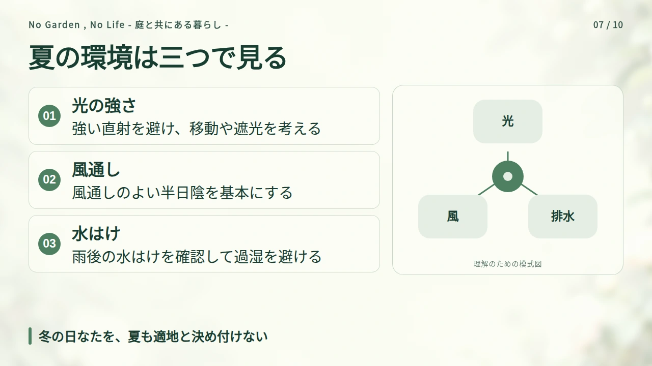 夏の置き場所は、鉢の移動と地植えの遮光で考えるの要点と図解