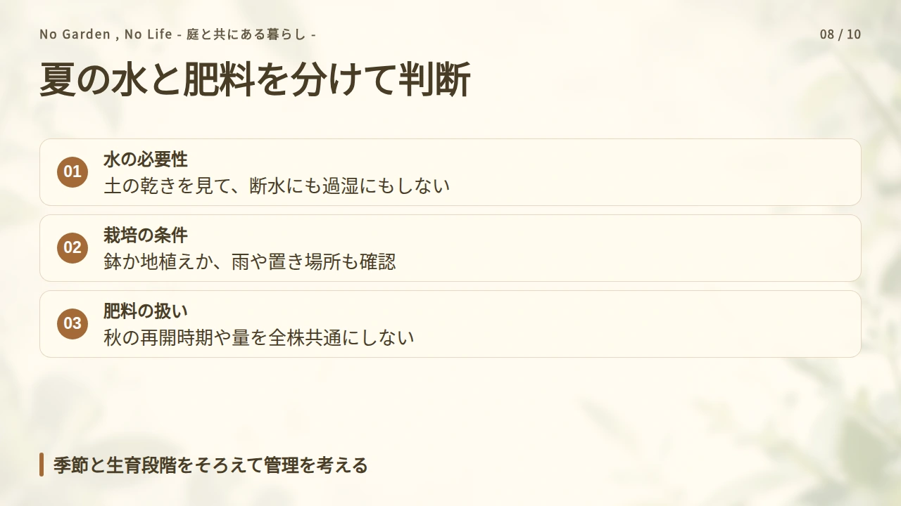 夏の水と肥料は、乾き方と生育段階に合わせるの要点と図解