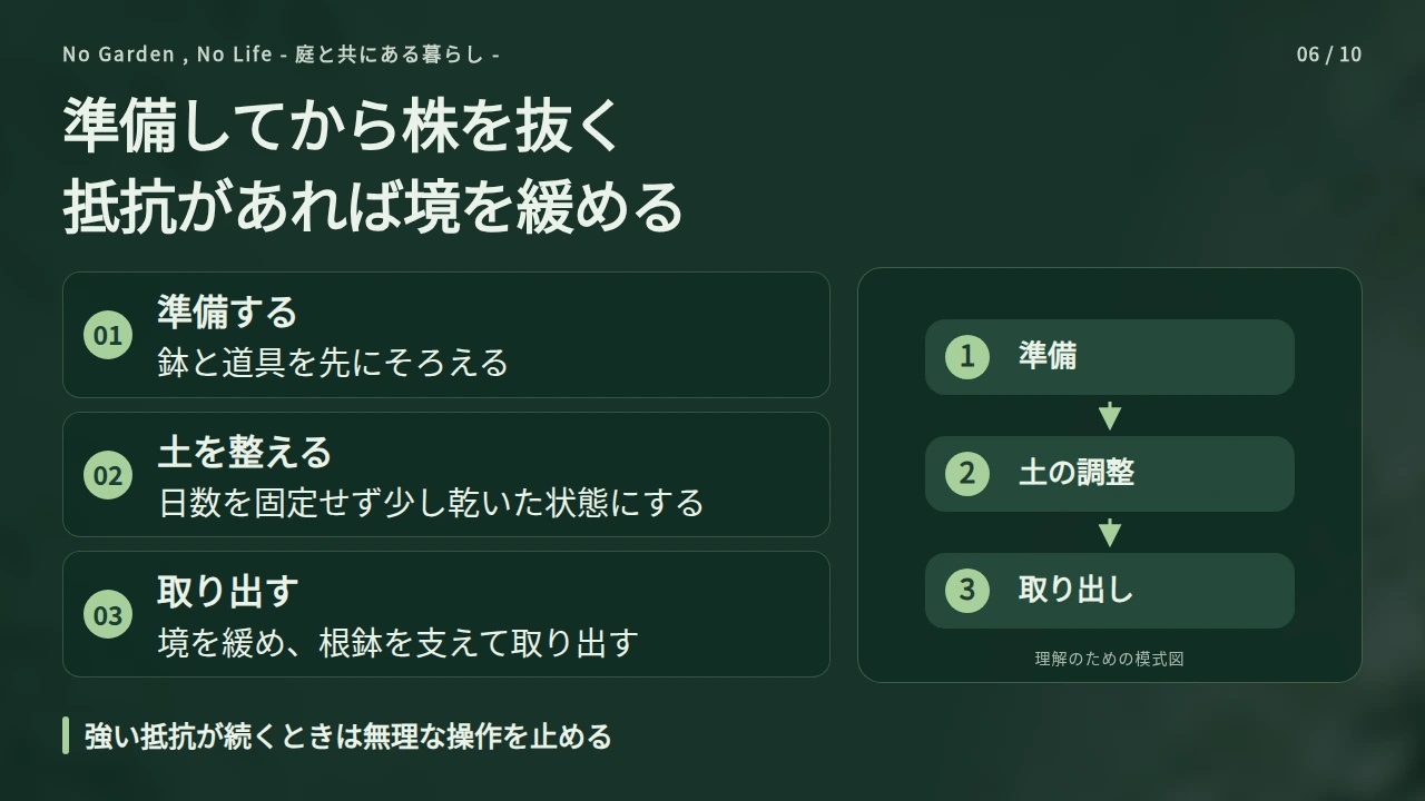 土の湿り具合を整え、鉢から株を取り出すの要点と図解