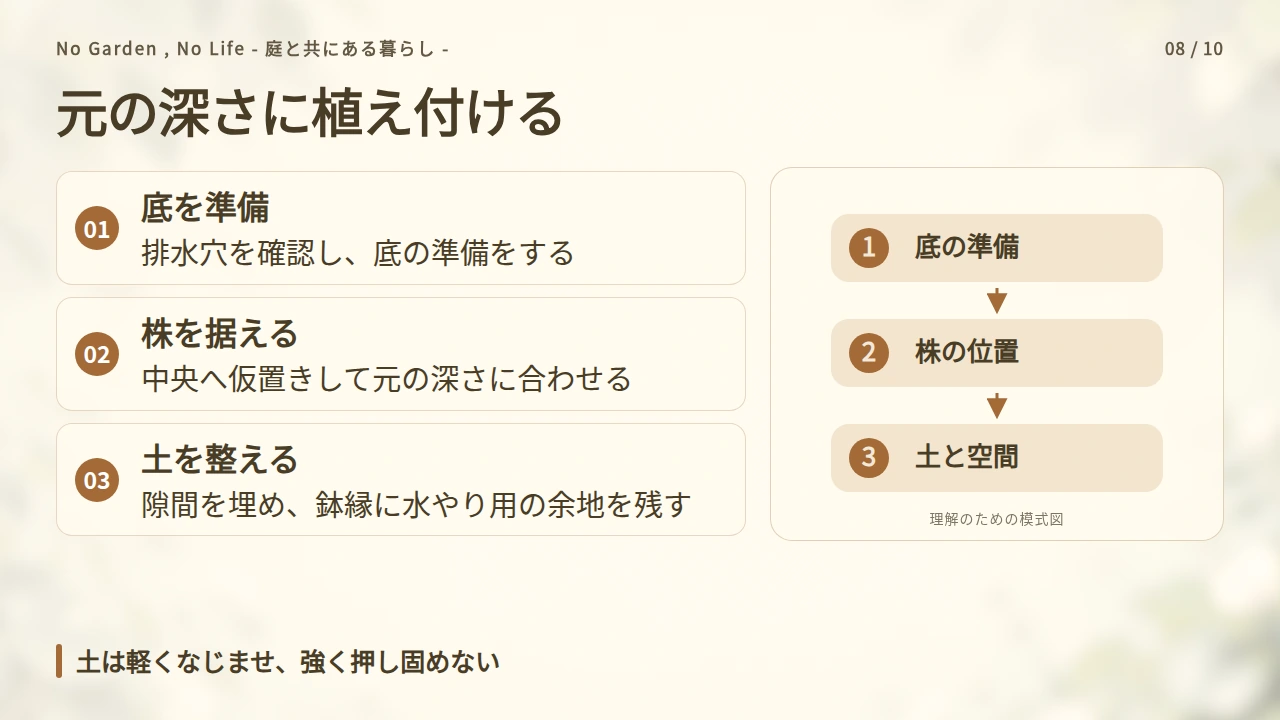 元の深さに据え、土の隙間と水やり用の空間を整えるの要点と図解